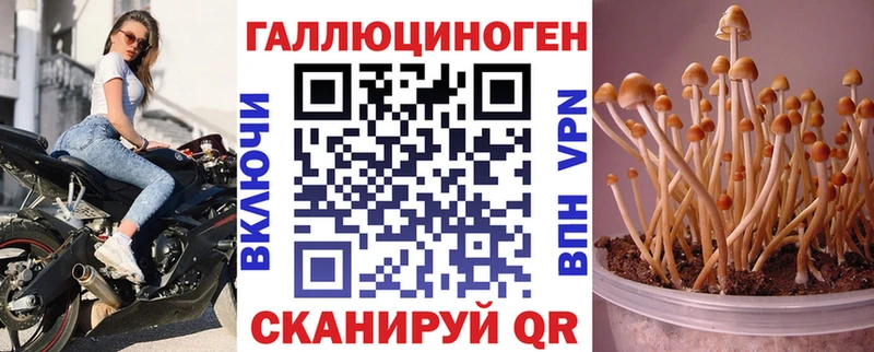 блэк спрут tor  Невельск  Псилоцибиновые грибы ЛСД 